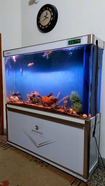 imported aquarium big size (2in1) 0