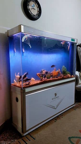 imported aquarium big size (2in1) 1