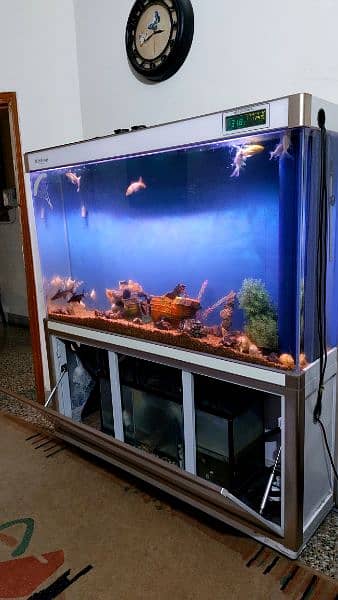 imported aquarium big size (2in1) 2