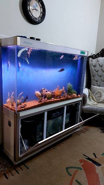 imported aquarium big size (2in1) 3