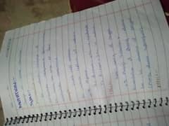 assignment hand writing work