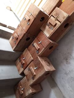 Breeding box for Lovebirds