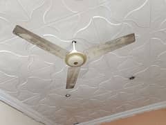 GFC fan Full size only rs 5000 running condition 0/3/0/0/2/8/4/1/7/8/6