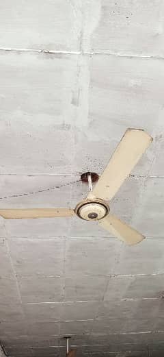 fan ceiling