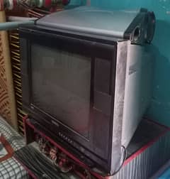 NOBEL TV