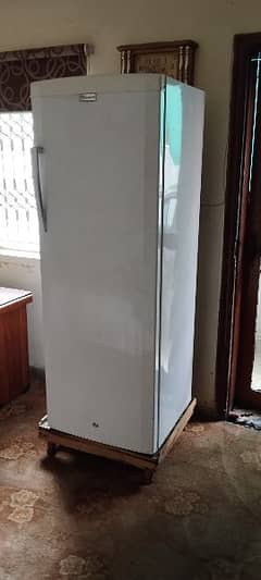 Caravell vertical freezer (full size)