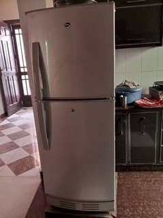 Pel Refrigerator for sale in Model Town Multan.