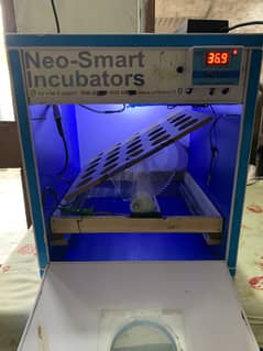 incubator autometic