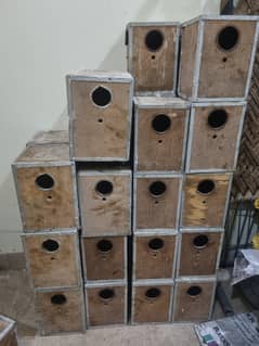Wooden Palai Boxes for love bird & budgerigar
