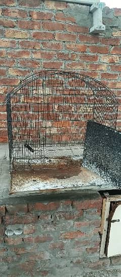 Cage For Hens And Birds