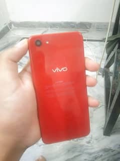 vivo