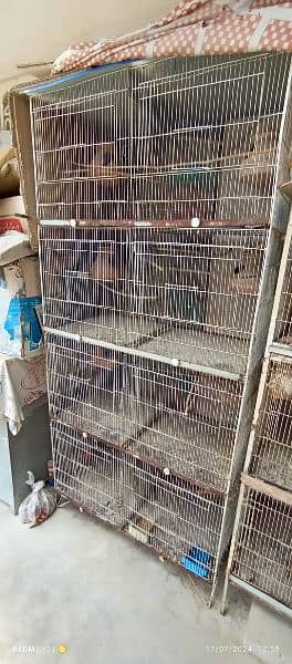 8 portion cage with 31 Budgies 0