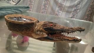 original crocodile baby head handmade craft