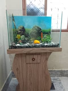 aquarium for sale 2×2