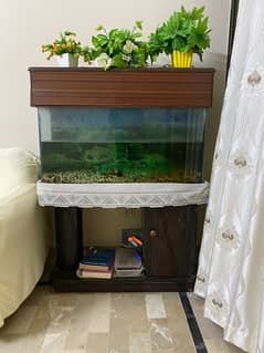 Fish Aquarium Tank + Table For Sale