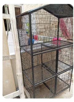 bird 5 portion cage