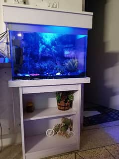 aquarium with all accessories