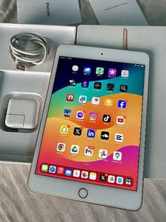 iPad mini 5