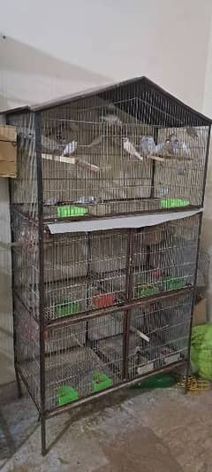 2 Cage for sale