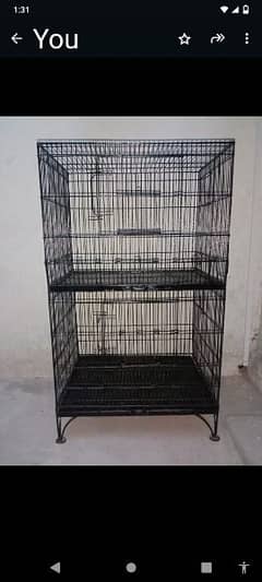 Birds Cage