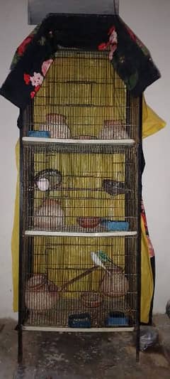 Cage with parrot and diamond dove