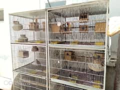 good condition birds cage
