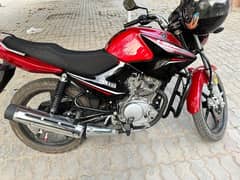 Urgent Selling YBR 125 2023