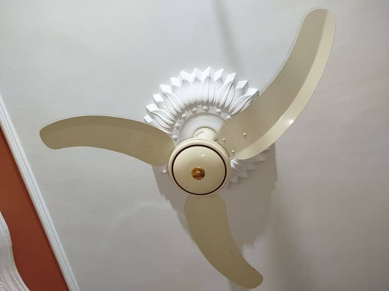 GFC Sufi Batra Sonex 56" fancy fan| Good Quality big motor 100% copper 6