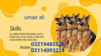Dog training center