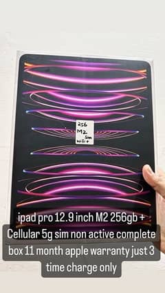 apple ipad pro M2 12.9 256gb + cellular 5g 6th generation