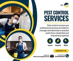 Reliable Pest Control Services - Residential & Commercial|Pest Control