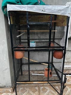 cage for hens and parrots