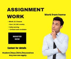 Online work for Pakistani boys and girls | Work from home