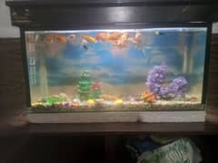 Fish aquarium for sale in excellent condition