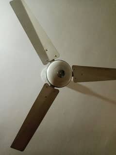 fan