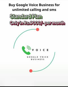 Google voice business standard Plan for unlimited calls and msgs