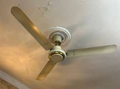 Royal Ceiling Fan