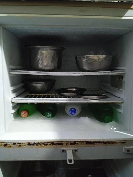 PEL Fridge 2