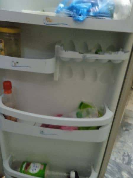 PEL Fridge 3