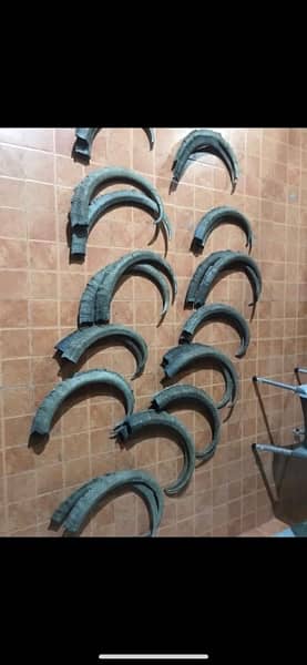 Ibex Horns 3