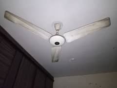 ceiling fan