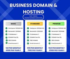 HOSTING & DOMIAN SERVICES