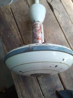 ceiling fan for sale