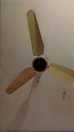 Falcon Seiling Fan