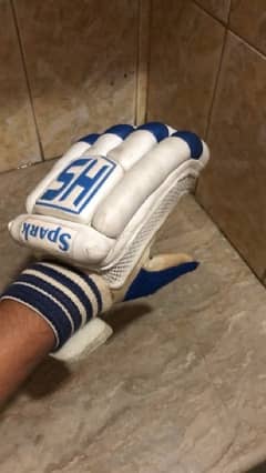 Hs cricket gloves