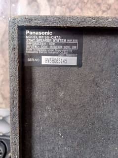 Panasonic spiker