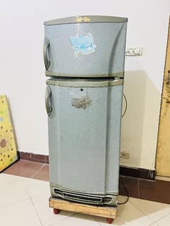 PEL Refrigerator (Medium Size) with wooden stand