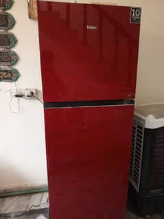 Hair refrigerator for sale