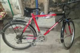 phonix cycle urgent sale