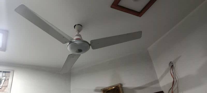 ceiling fan Sufi 1